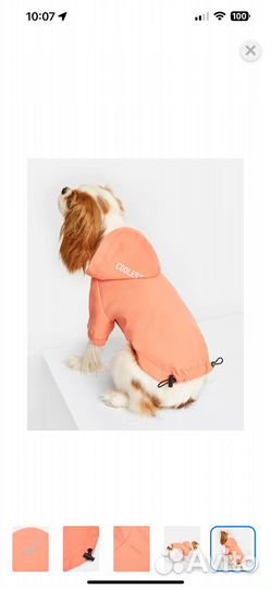 Куртка дождевик для собак средних пород