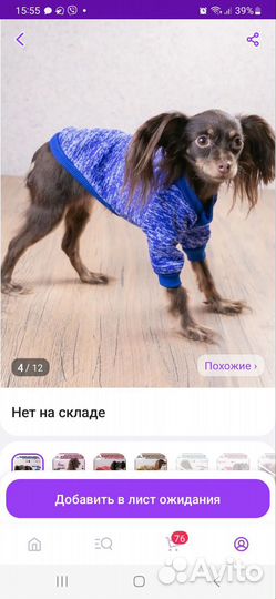 Одежда для животных