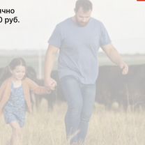 Сельскохозяйственное агентство в городе, Тбилиси