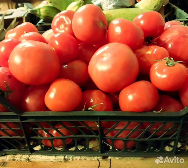 Помидоры