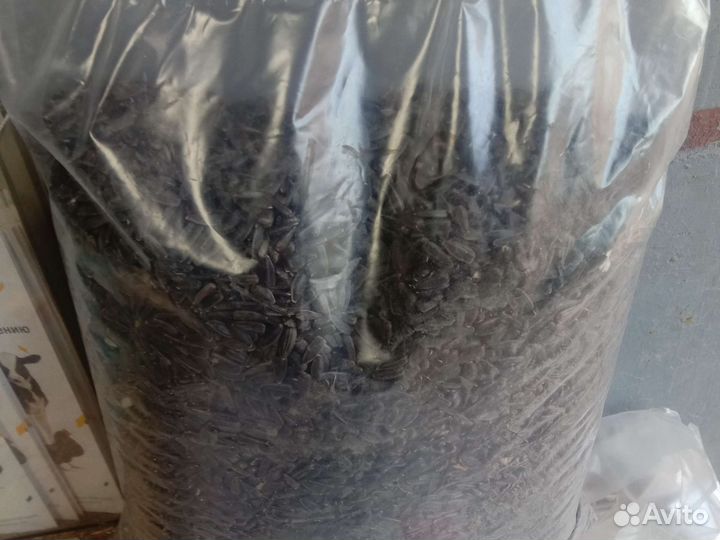 Зерносмесь, пшеница, овес, отруби, жом