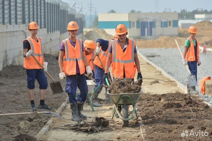 Разнорабочие