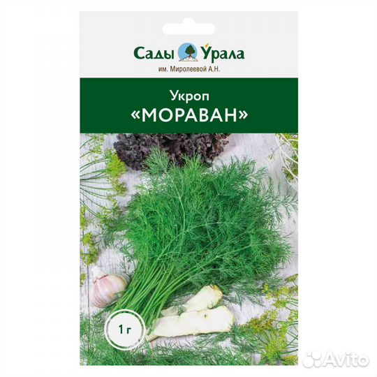 Укроп «Мораван» - семена питомника Сады Урала