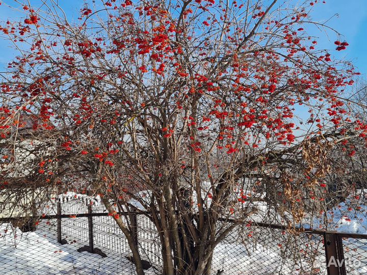 Стихотворения на заказ