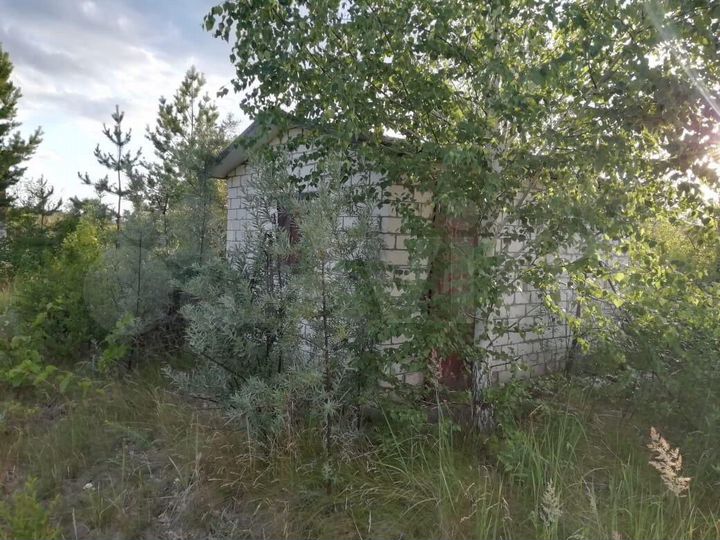 Участок 10 сот. (СНТ, ДНП)