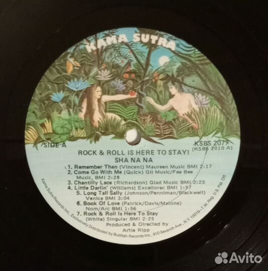 LP Sha Na Na–Rock And Roll Is Here To Stay 1973