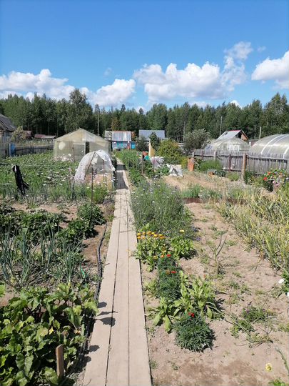 Дача 35 м² на участке 11 сот.