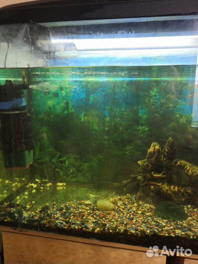 Аквариум
