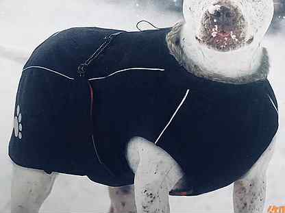 Куртка с меховым воротом для крупных собак