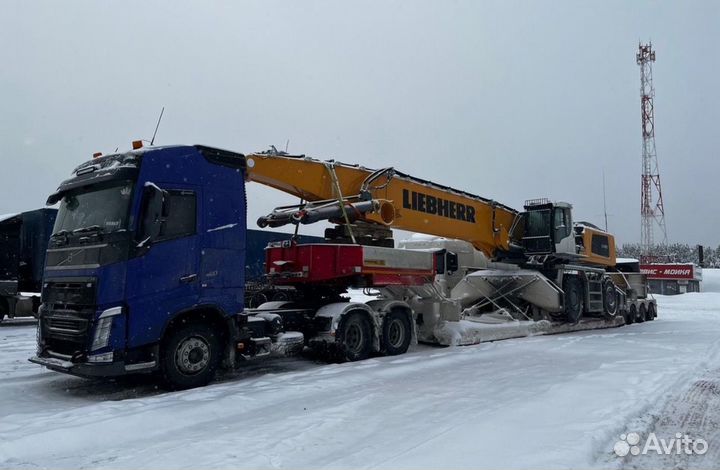 Услуги трала