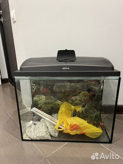 Аквариум