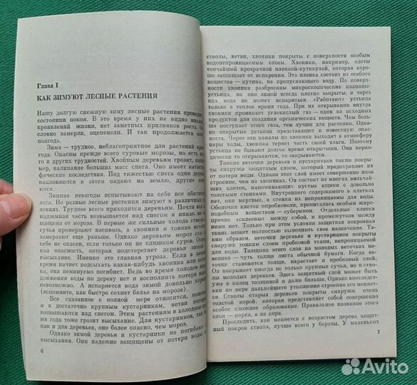 В.В.Петров. Весна в жизни леса. 1981