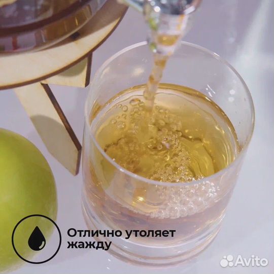 Чайный Гриб Комбуча с нуля