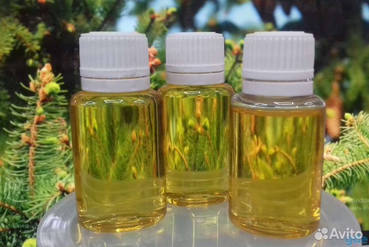 Продам масло пихты свежее