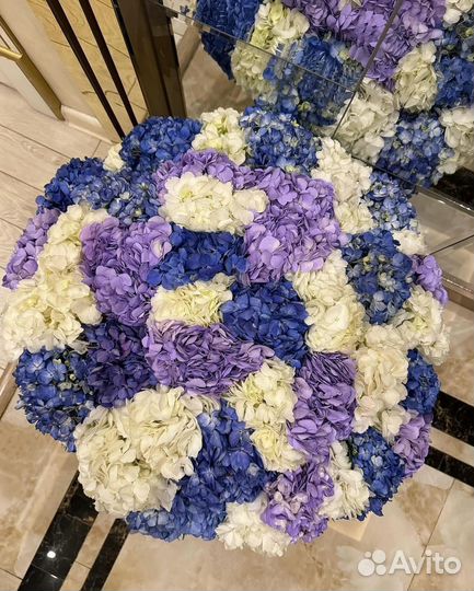 Гортензия / Букет из гортензии / 21, 31, 51