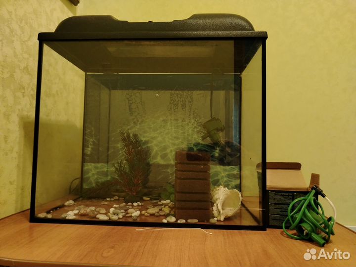Аквариум на 50 л