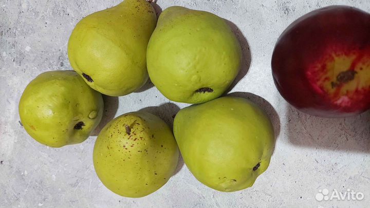 Муляжи овощи фрукты