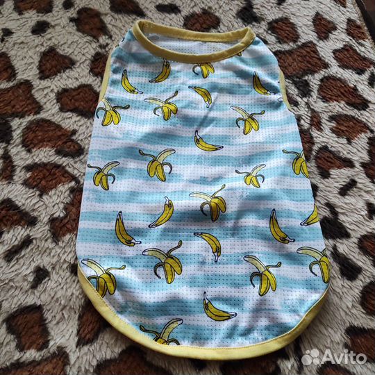 Одежда для маленьких собак