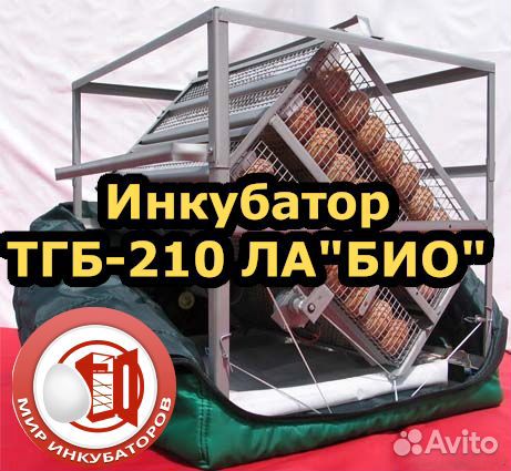Инкубатор