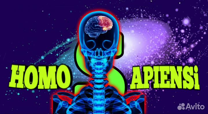 Видеомонтаж и фоторедакция