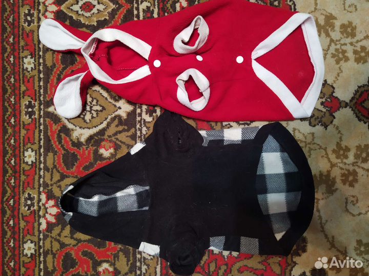 Одежда для собак
