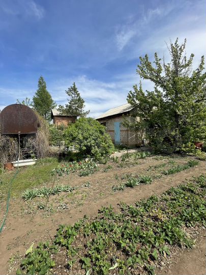 Участок 10 сот. (СНТ, ДНП)