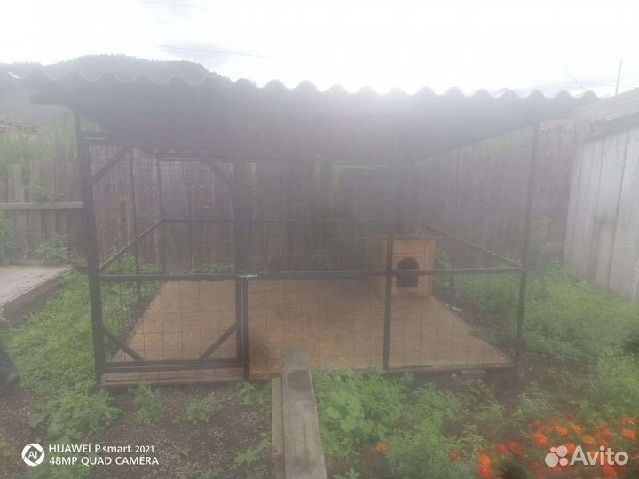 Вольер для собак уличный