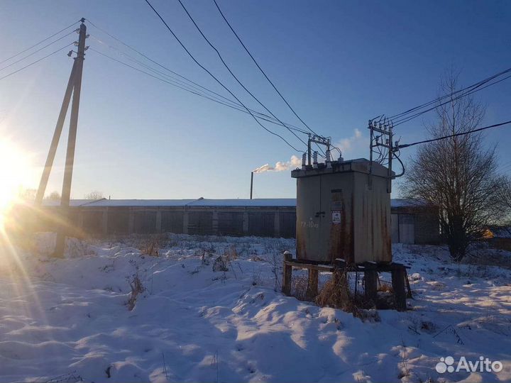 Животноводческая ферма продаю