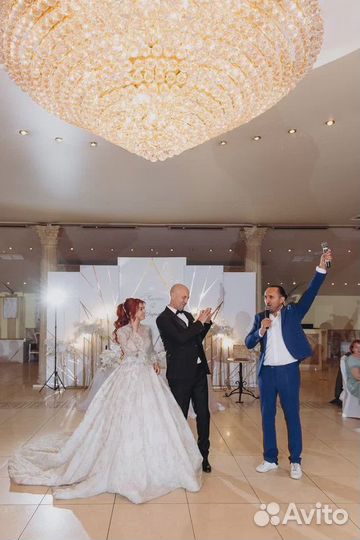 Ведущий + DJ + звук, свет на мероприятие