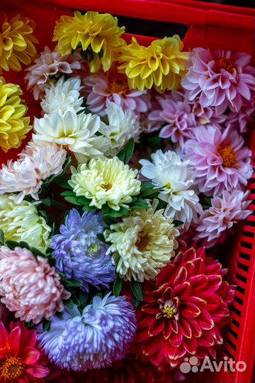 Фермерские цветы на срез