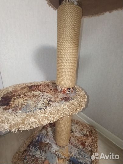 Когтеточка домик для кошки бу