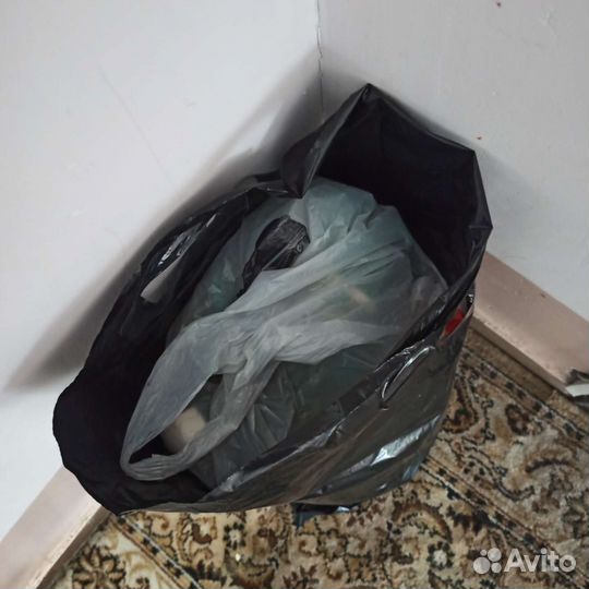 Отдам бесплатно