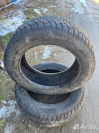 Cordiant Polar 205/55 R16