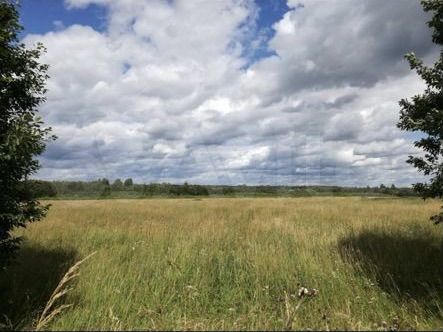 Участок 99,5 сот. (СНТ, ДНП)