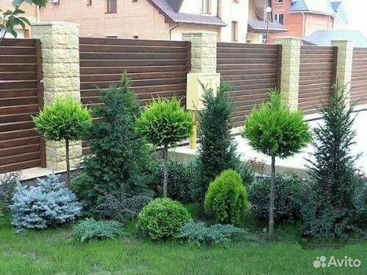 Озеленение и благоустройство