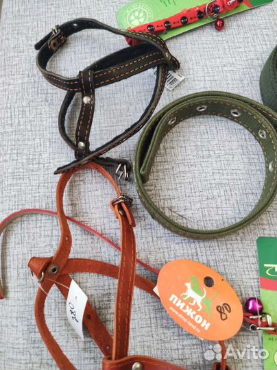 Ошейник, поводок, шлейка