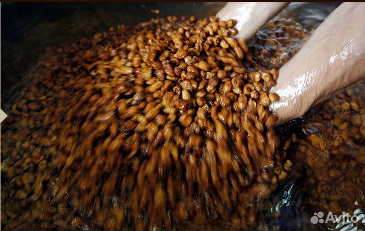 Чуфа(тигровый орех) отборный 12-16мм Испания 10кг