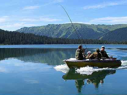 Тур на Алтай с рыбалкой