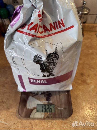 Royal canin renal для кошек