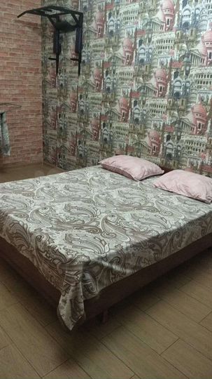 1-к. квартира, 50 м², 1/7 эт.