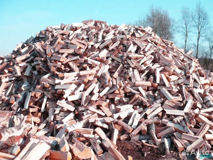 Дрова осиновые