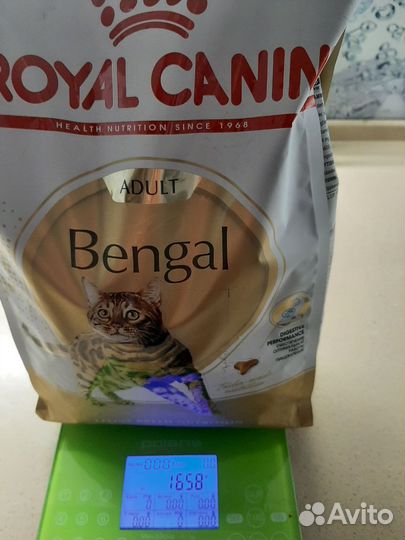 Royal canin бенгал