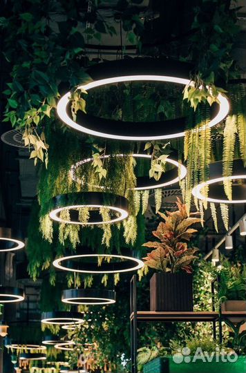 Озеленение подвесных конструкций