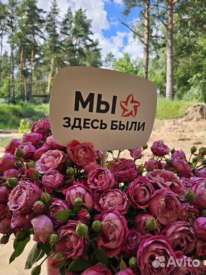 Палаточный лагерь Робинзонада Честное пионерское