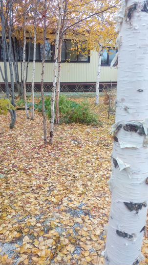 Дом 87 м² на участке 5 сот.