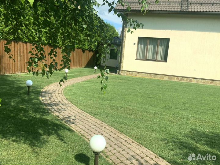 Рулонный газон