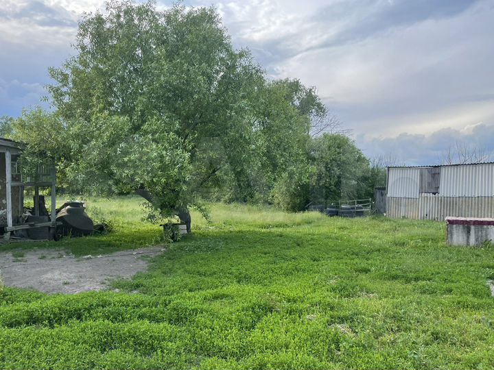 Дом 100 м² на участке 46 сот.