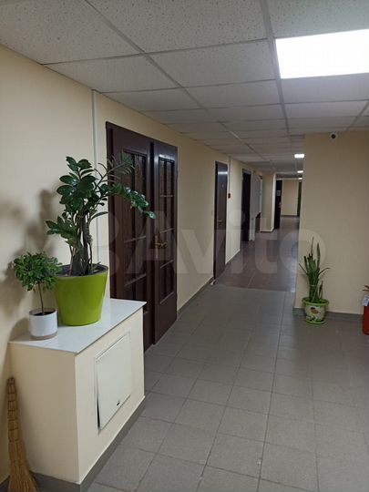 Комната 25 м², 1/14 эт.