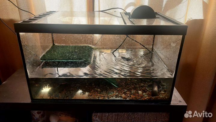 Аквариум для красноухой черепахи