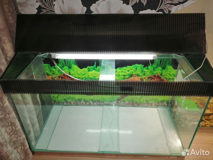 Аквариум